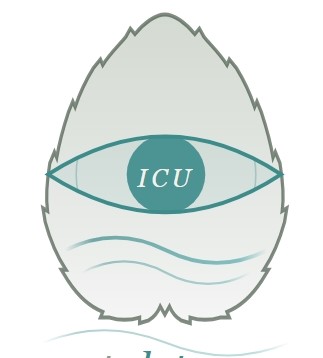 bildschirmfoto 12 3 2026 141725 ohne schriftzug